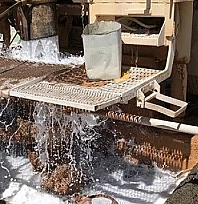 Siyaset sessiz, bürokrasi kifayetsiz