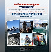 Su ürünleri avcılığında yeni dönem: Sözleşmeli üretim başlıyor