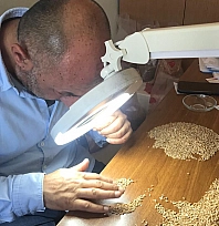 Süne Emgi analizi çalışmaları sürüyor