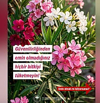 Tarım Bakanlığı'ndan bitki tüketiminde hayati uyarı