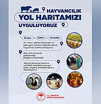 Tarım ve Orman Bakanlığı hayvancılık yol haritasını uygulamaya aldı