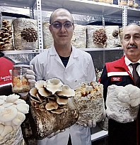 Tıbbi ve Egzotik Mantar üretimiyle tarım ve sağlık buluşuyor