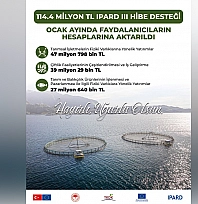 TKDK'dan girişimcilere 114,4 Milyon TL hibe desteği