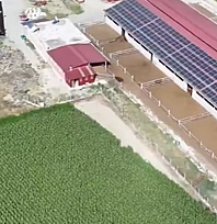 TKDK destekleriyle kırsalda verimlilik artıyor: 'Bereket Hikayeleri', başlıyor