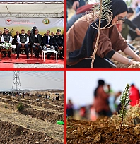 Törensel ağaç dikimleri