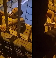 Trafik cezası sonrası intihar girişimi
