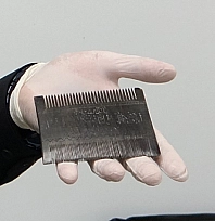 Tunceli'de dualarla korunan bir emanet: Osmanlı tarağı dikkat çekiyor