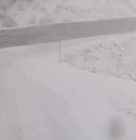 Tunceli'de, kar yağar yağmaz mücadele başladı