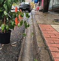 Tunceli'de sağanak yağış etkili oldu