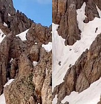 Tunceli'de Yaz ortasında karlı zirvede ayı sürprizi