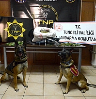 Tunceli merkezli 3 ilde uyuşturucu operasyonu: 23 kilo esrar ele geçirildi