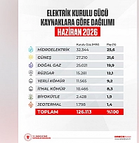 Türkiye'nin elektrik kurulu gücü 126 bin 113 MW'a ulaştı