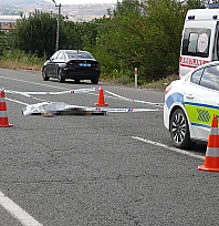 Tuvalet ihtiyacı için aracından indi, canından oldu