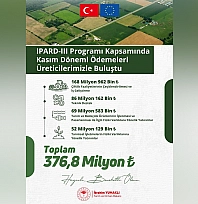 Üreticilere 376,8 Milyon TL destek ödemesi