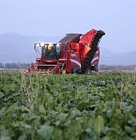 Üreticiye müjde! 991 milyon TL'lik dev destek