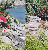 Vicdanları yaralayan görüntü: Köpeğe şiddet anı kaydedildi