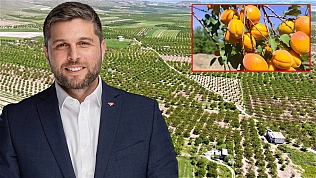 Baskil Kayısısı'nın size ne zararı var?