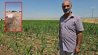 Çiftçinin emeği tehlikede