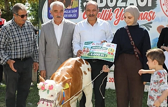 6. Elazığ Tarım, Hayvancılık ve Gıda Fuarı'nda Buzağı Güzellik yarışması