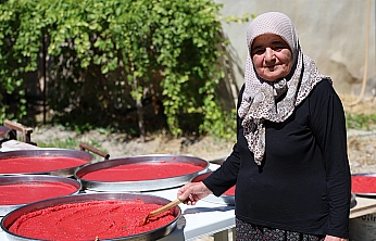 Ağın'da kış hazırlığı: domates salçası tepsilerde güneşte olgunlaşıyor
