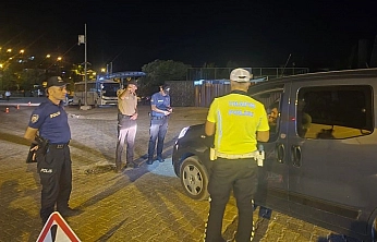Alacakaya'da huzur denetimi: Ekipler ilçeyi mercek altına aldı