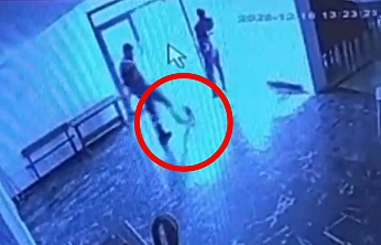 Alacakaya'da kediyi tekmeleyen personel sosyal medyanın tepkisini çekti