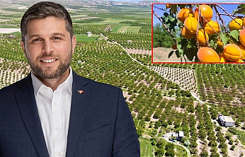 Baskil Kayısısı'nın size ne zararı var?