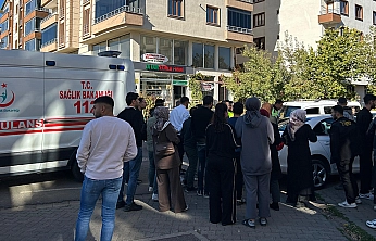 Bingöl'de dersaneden çıkan 2 öğrenciye otomobil çarptı