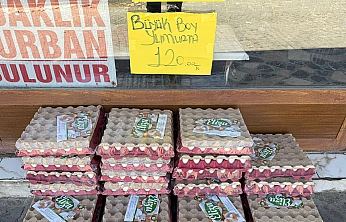 Diploma yüzsüzlüğü