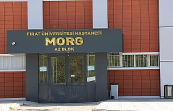 Elazığ'a üzüm almaya gitti, yaşamını yitirdi