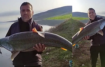 Elazığ Barajı'nda 27 kiloluk turna balığı yakalandı