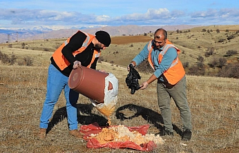 Elazığ Belediyesi doğaya yem bıraktı
