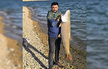 Elazığ'da 30 kiloluk dev turna balığı yakalandı