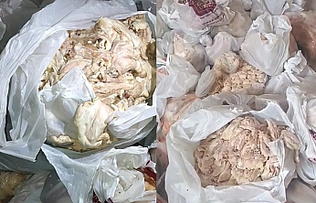 Elazığ'da 345 kilo bozulmuş tavuk ele geçirildi