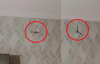 Elazığ'da akıllara durgunluk veren olay: Klimanın içinden çıkanlar şok etti