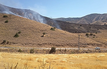 Elazığ'da anız yangını: Mera alanında hasar oluştu