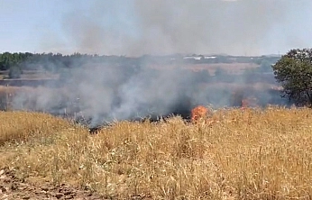 Elazığ'da arazi yangını!