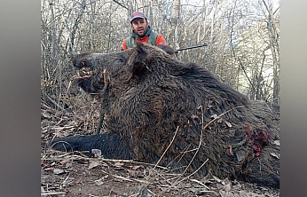 Elazığ'da avlandı, görenler aslan sandı
