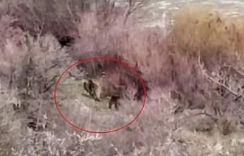 Elazığ'da balıkçıyla ayı ailesi burun buruna geldi