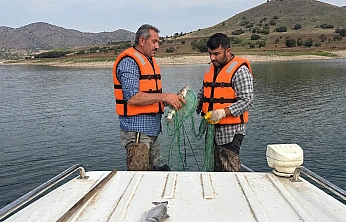 Elazığ'da baraj göllerinde istilacı türler inceleniyor
