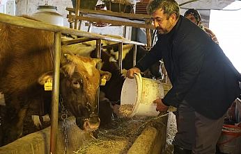 Elazığ'da besicilerin dondurucu soğuklarla mücadelesi