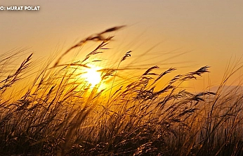 Elazığ'da bugün hava nasıl olacak? (21.11.2025)