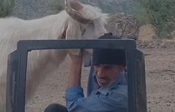 Elazığ'da çobandan sıra dışı hava durumu sunumu