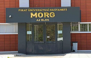 Elazığ'da çöp arabasının çarptığı belediye işçisi hayatını kaybetti