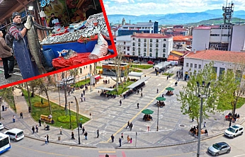 Elazığ'da dev turna balığı yakalandı