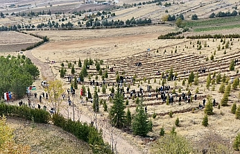 Elazığ'da Doğu Türkistan ve Filistin için anlamlı fidan dikimi