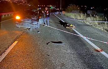 Elazığ'da feci kaza: Otomobilin çarptığı yaya hayatını kaybetti