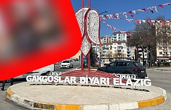 Elazığ'da fiyatı düştü, talep yine de yok