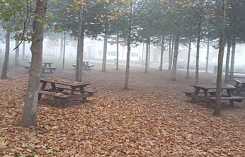 Elazığ'da göz gözü görmedi!