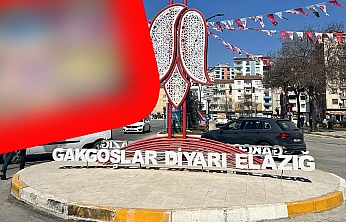 Elazığ'da hem gençlerin hem de annelerin yeni hobisi